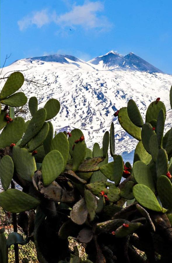 Апартаменты La Pigna Dell'Etna Николози Экстерьер фото